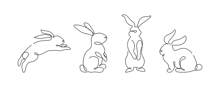 rabbit line drawing