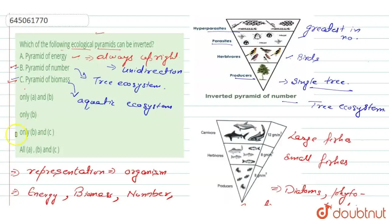 which of the following ecological pyramids is generally inverted