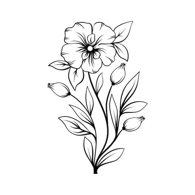 pictures of flowers drawing