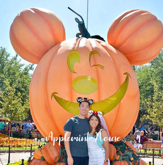 bride mickey mouse ears