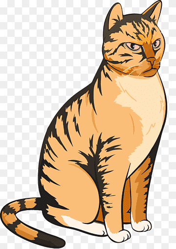 cat vector graphics