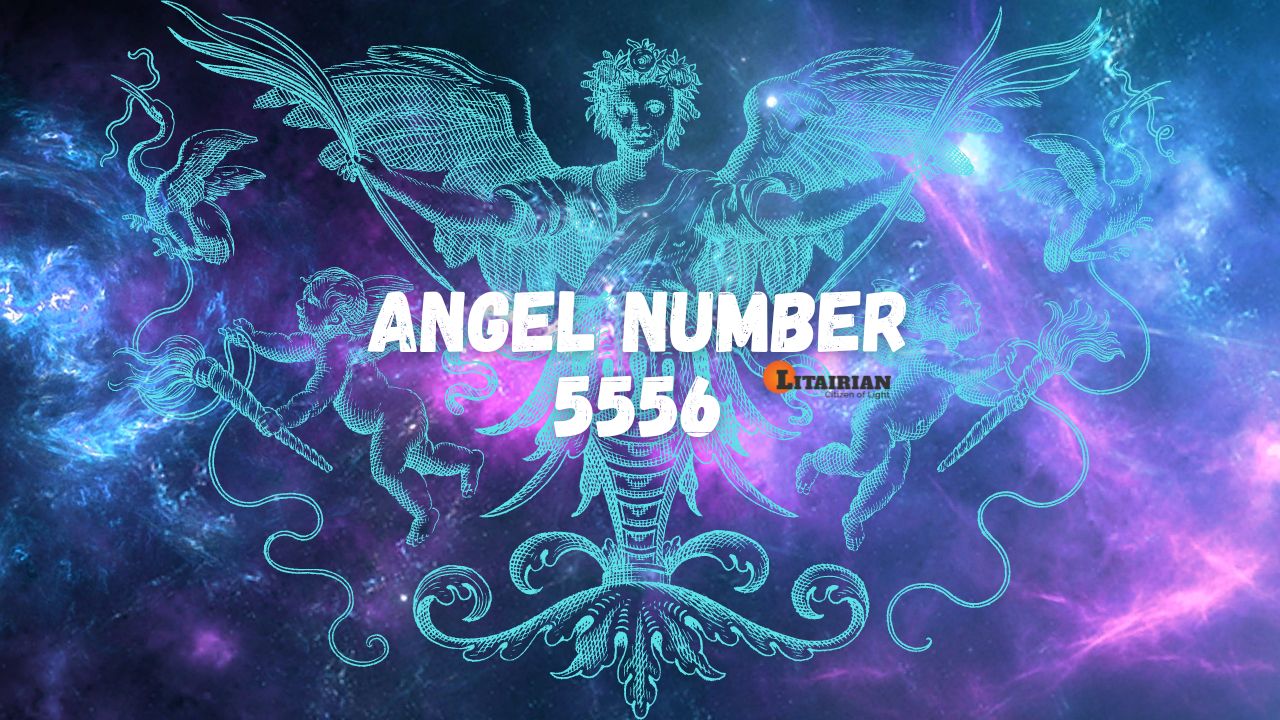 5556 angel number