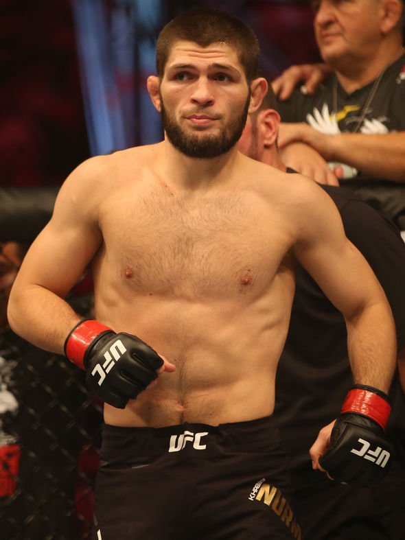 khabib ufc next fight