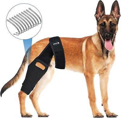 canine leg braces