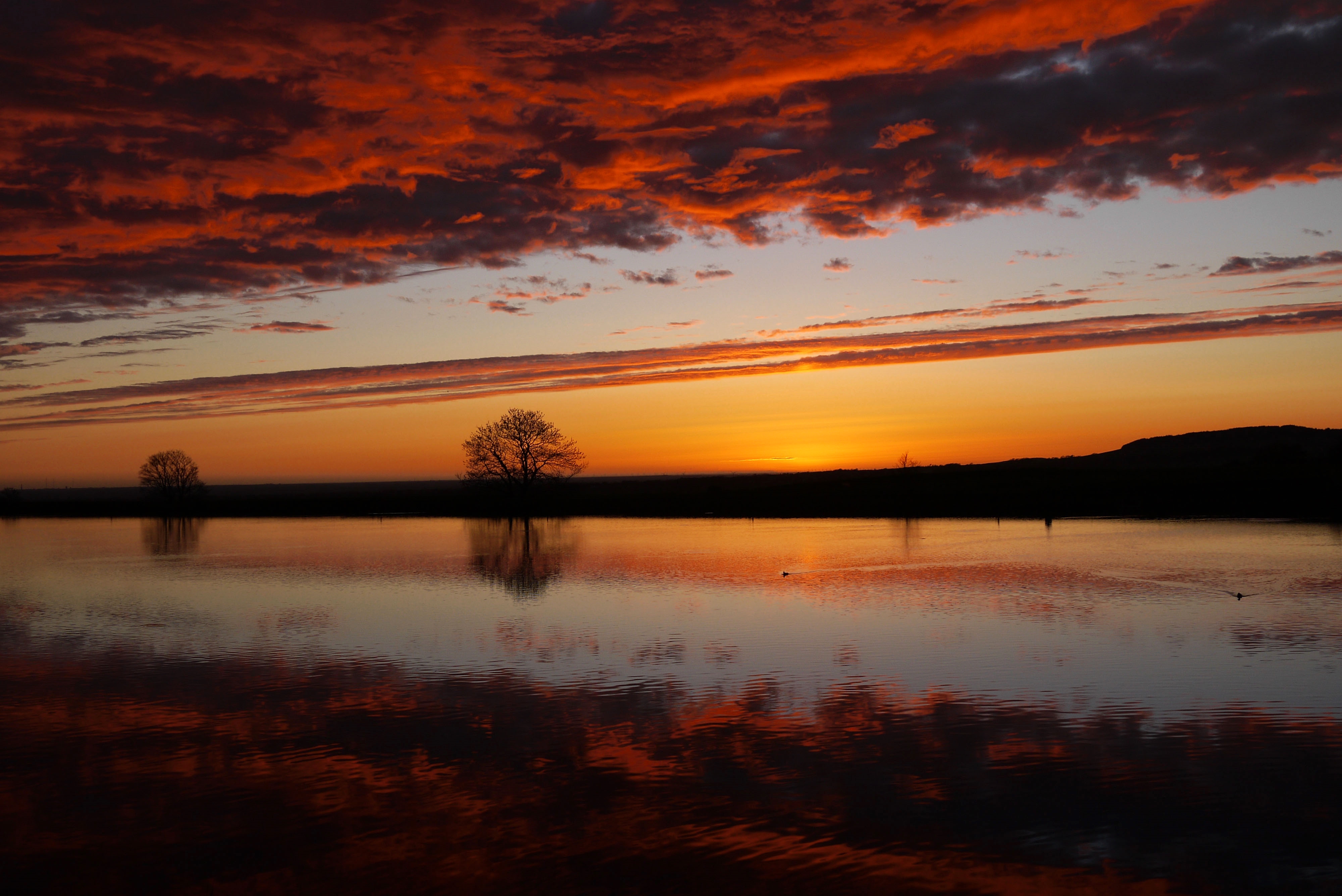 preston sunset times