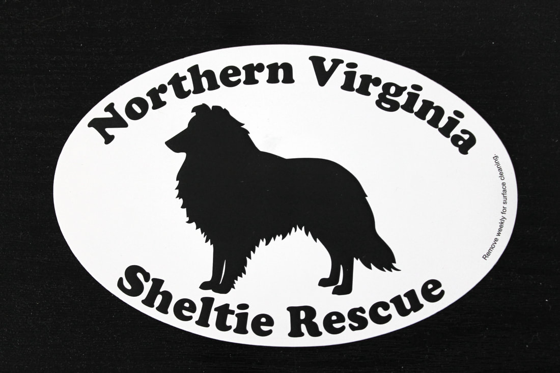 northern virginia sheltie rescue