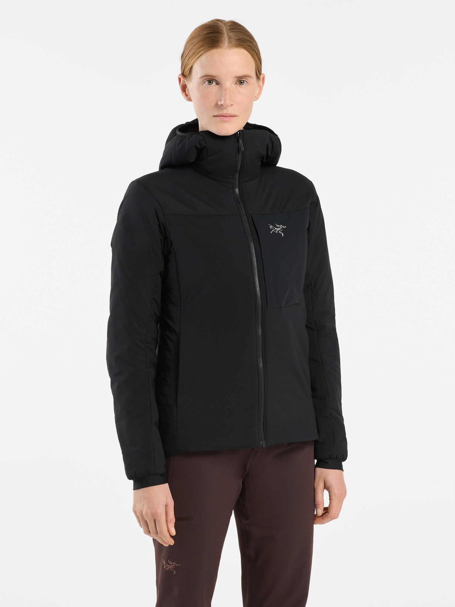 arcteryx proton hoody