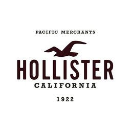 hollister jobs