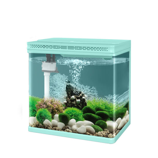 small fish tanks for sale