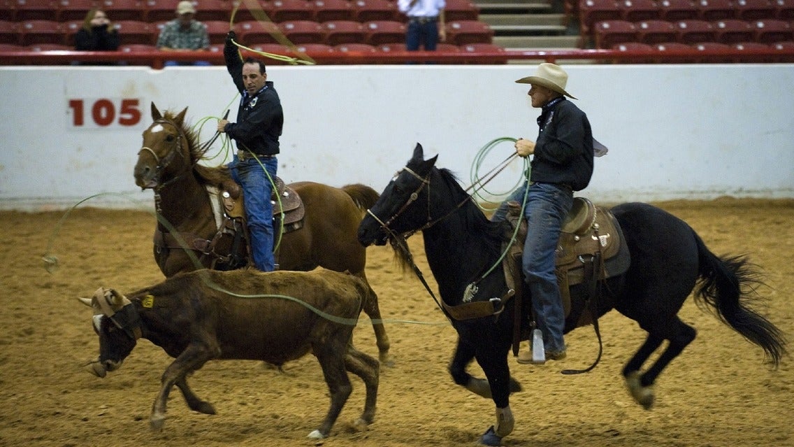 severn rodeo