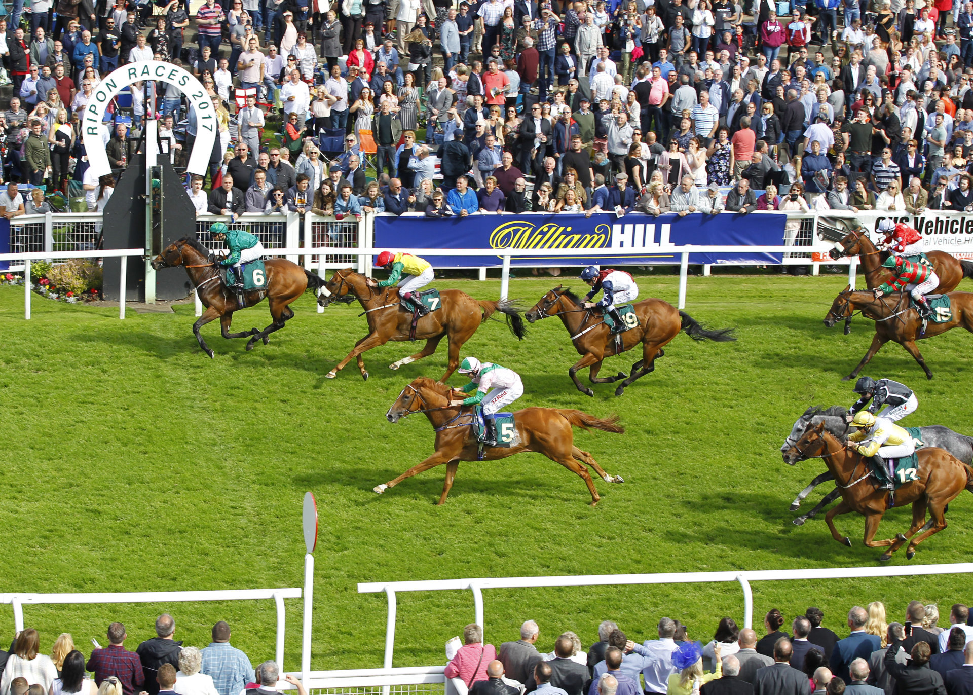 ripon races 2023 tickets