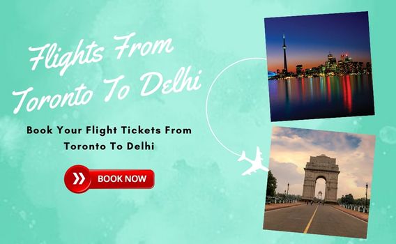 cheap flights from toronto to delhi