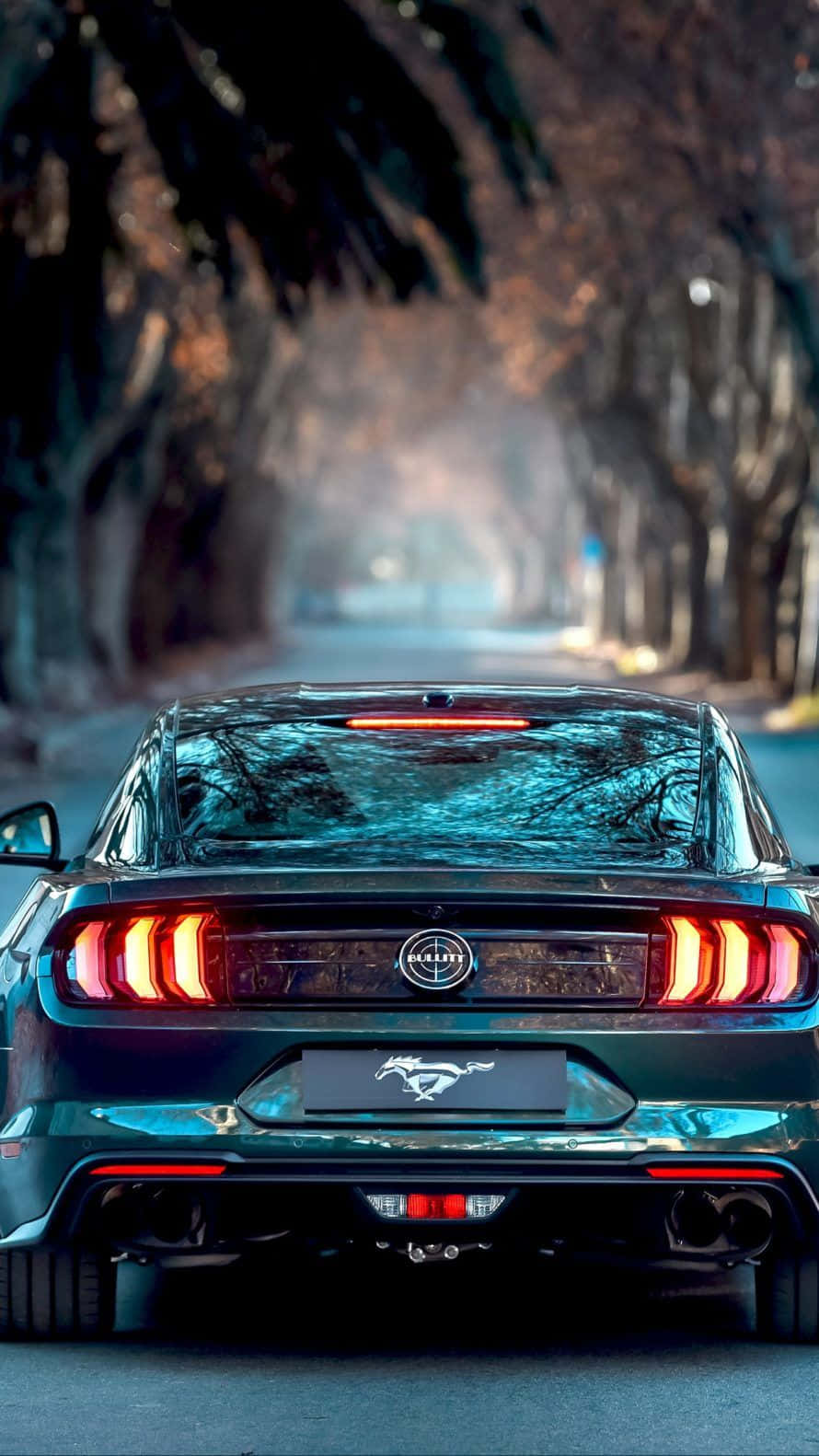 ford mustang wallpaper