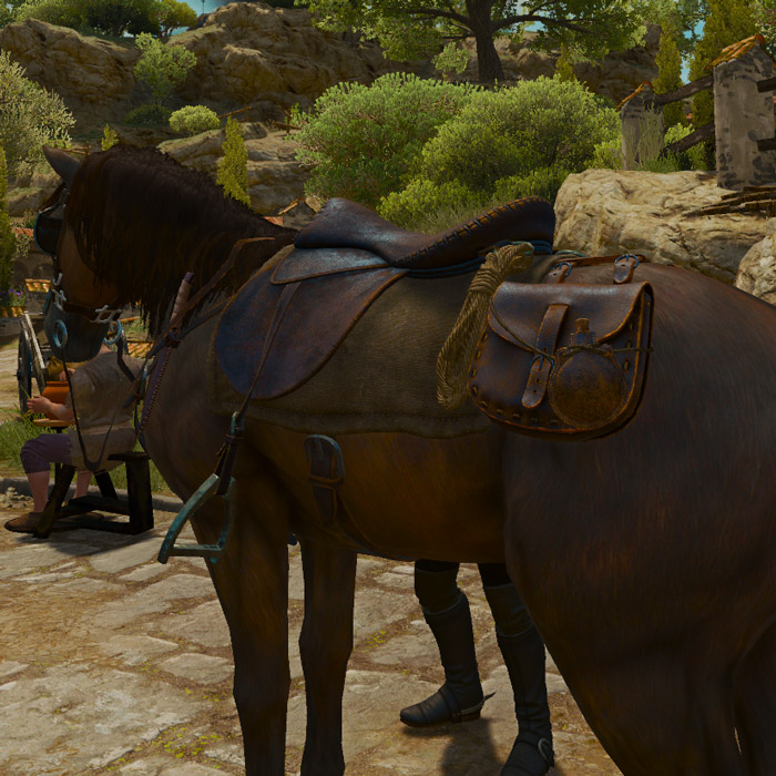 the witcher 3 saddle