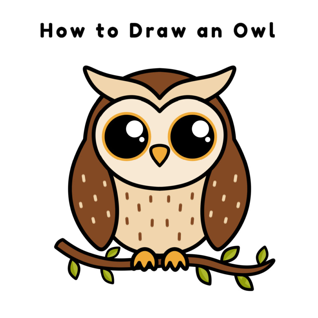 owl drawing images