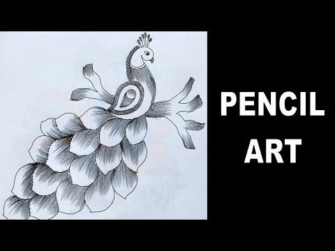 sketch drawing of peacock