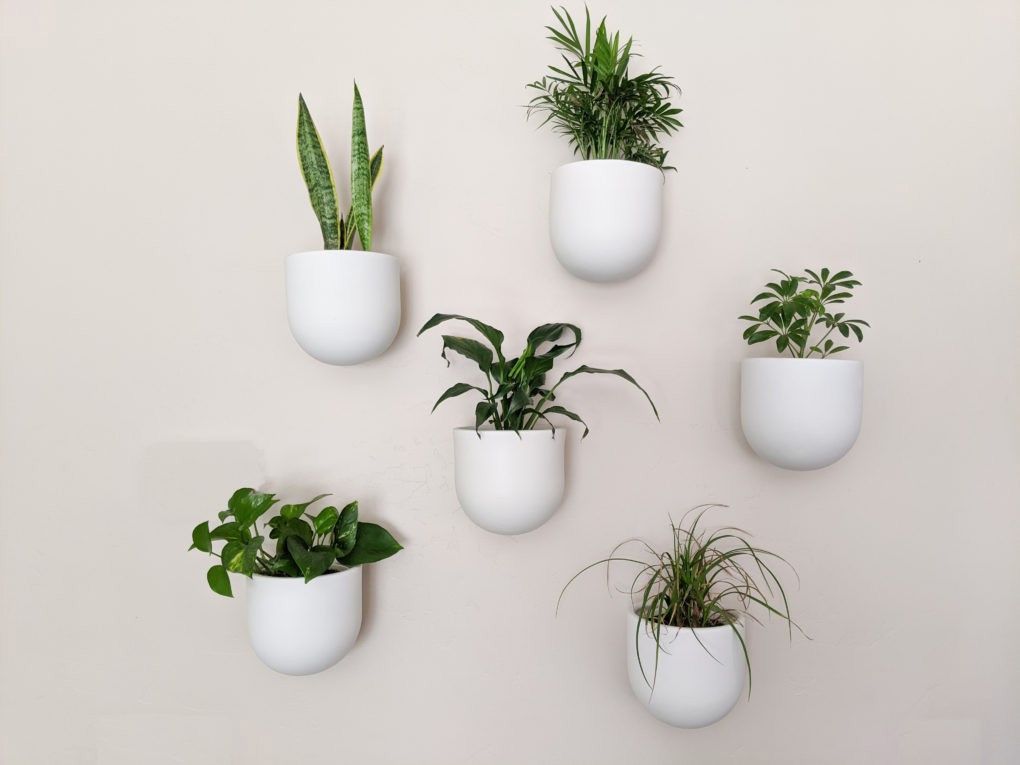 indoor wall flower pots