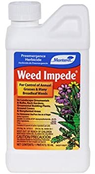 monterey weed impede