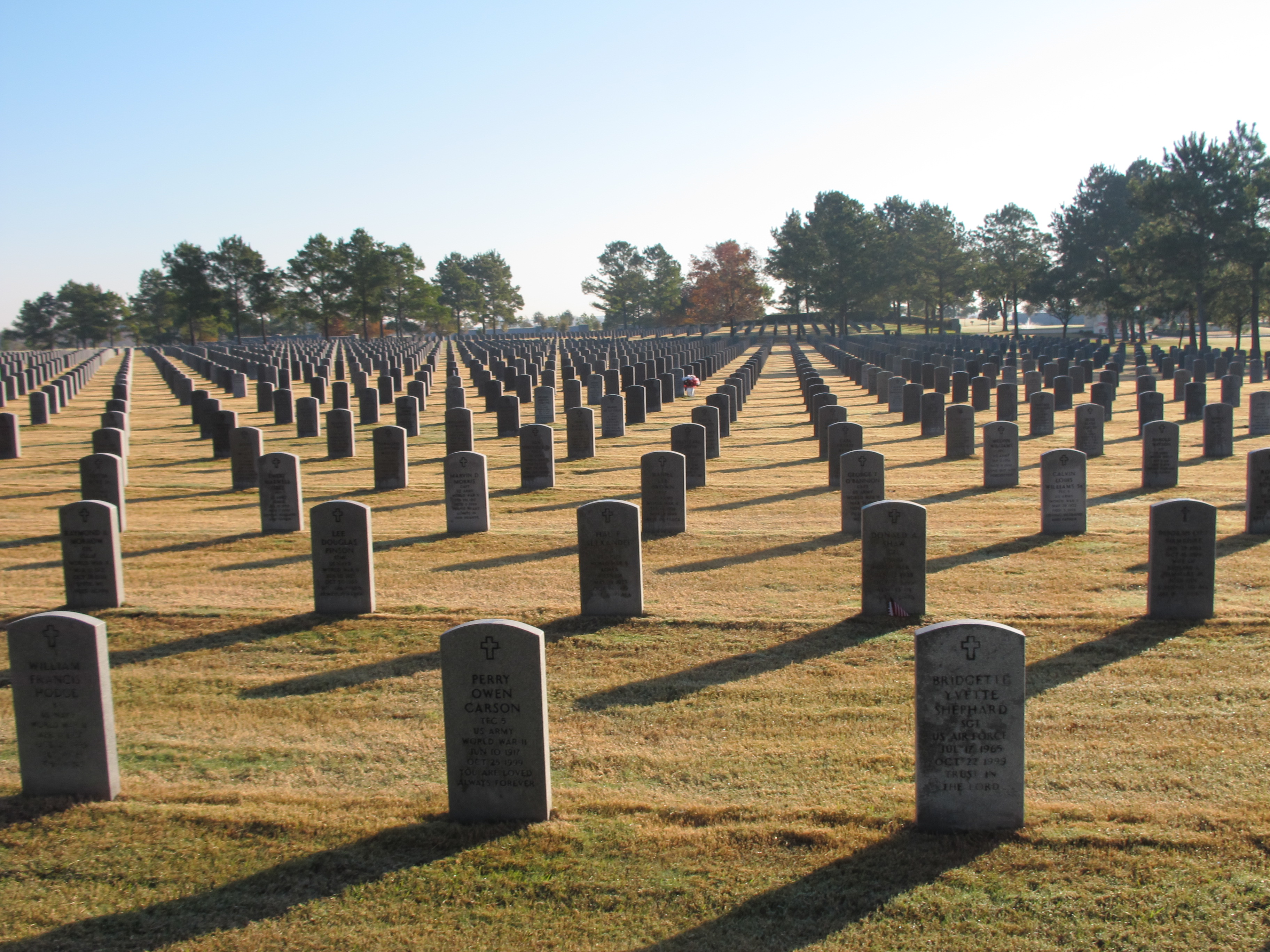 houston national cemetery find a grave