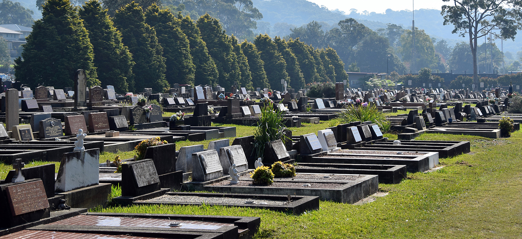 nsw cemetery records