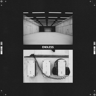 frank ocean vinyl endless