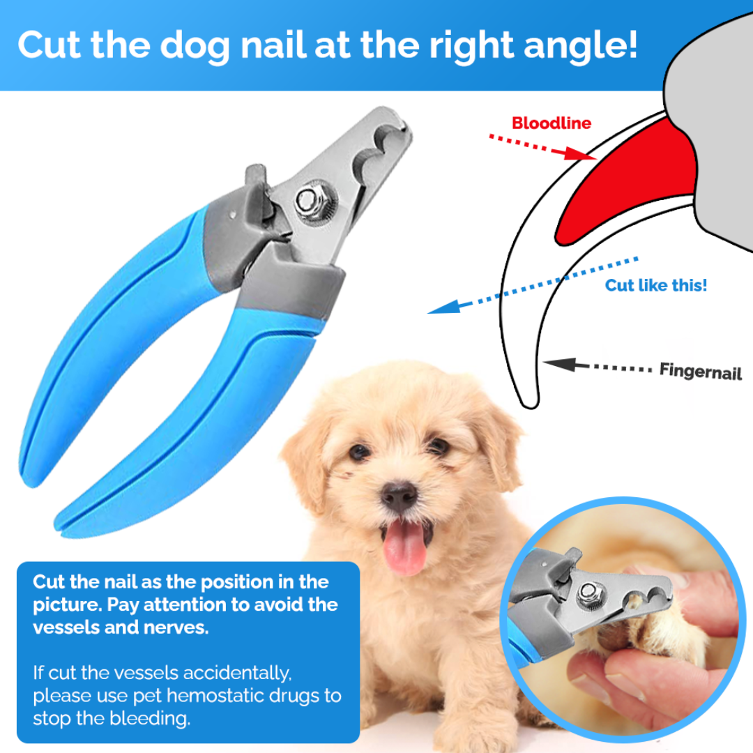 toe nail clipper for dogs