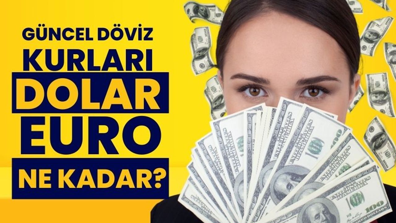 0.73 dolar kaç tl