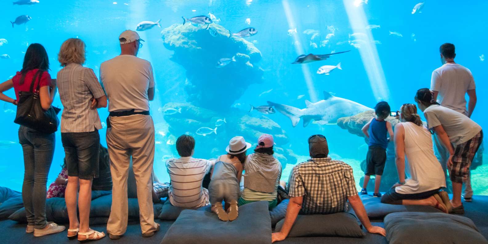 palma aquarium reviews