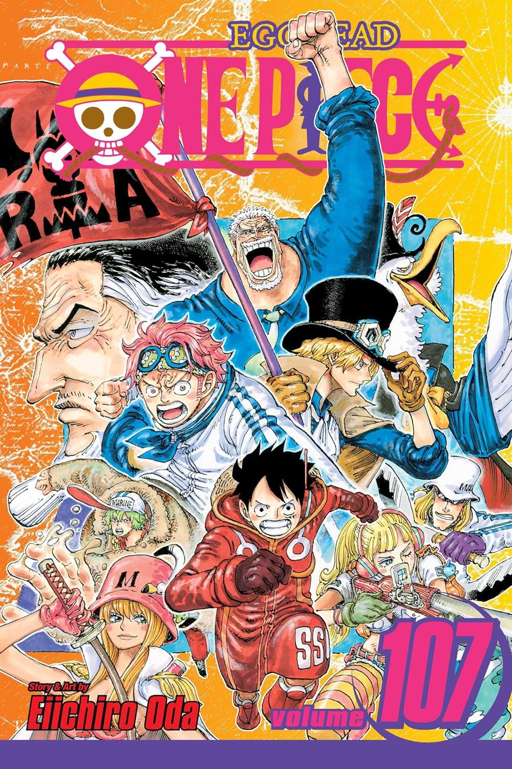 one piece viz manga