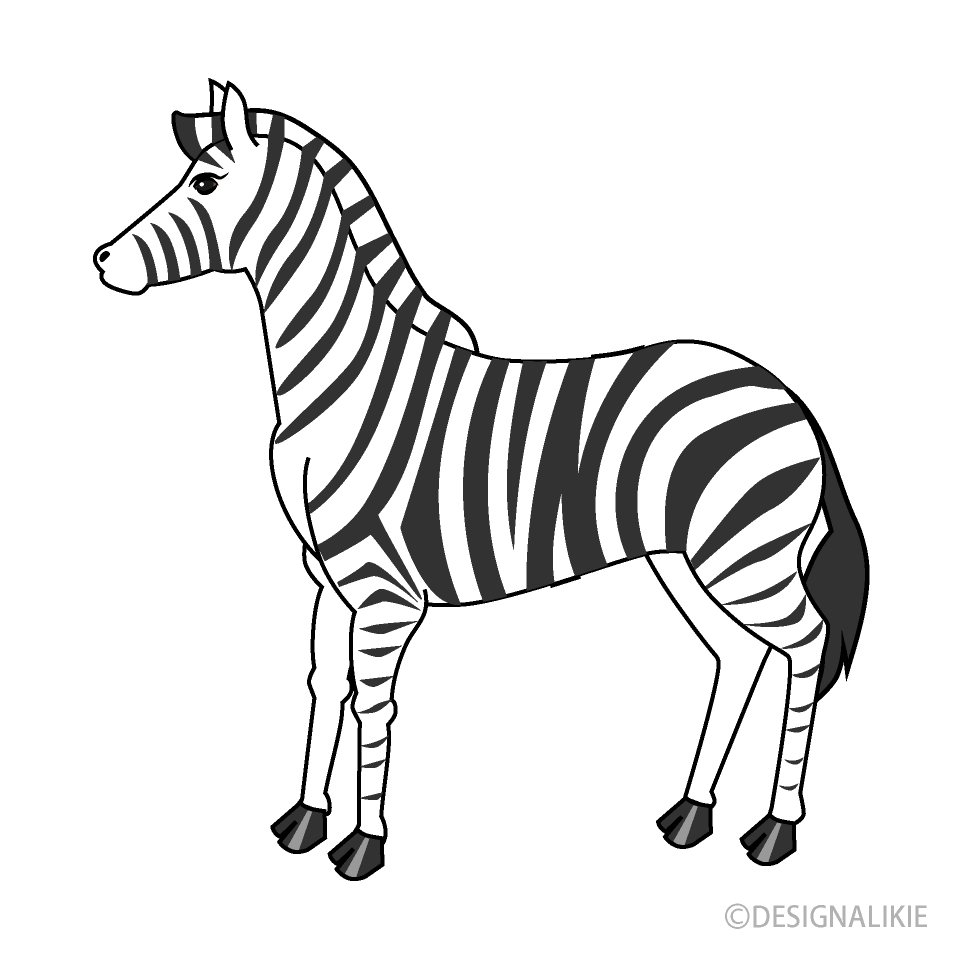 clipart zebra