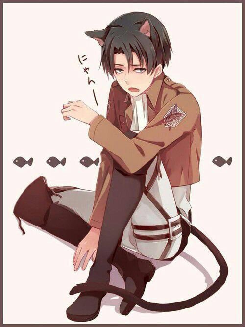 neko levi ackerman