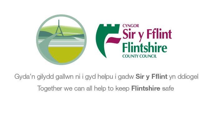 flintshire county council