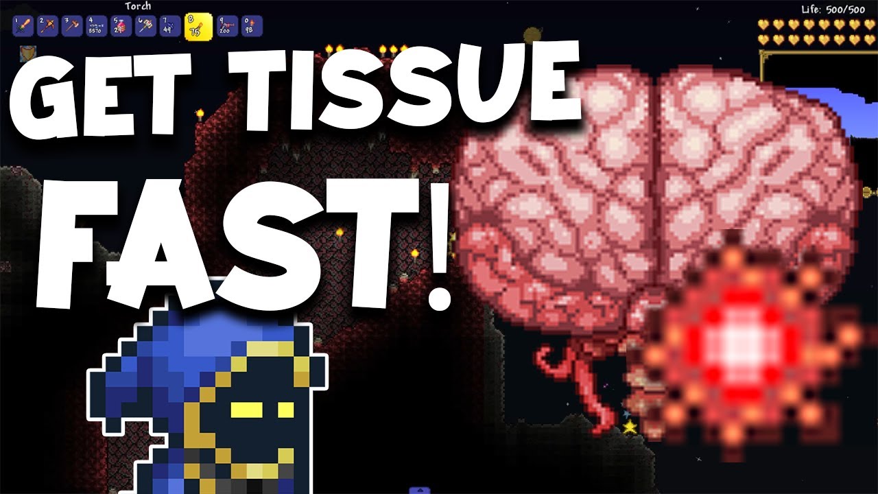 tissue sample terraria