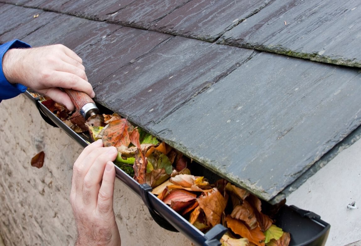 gutter cleaning near me