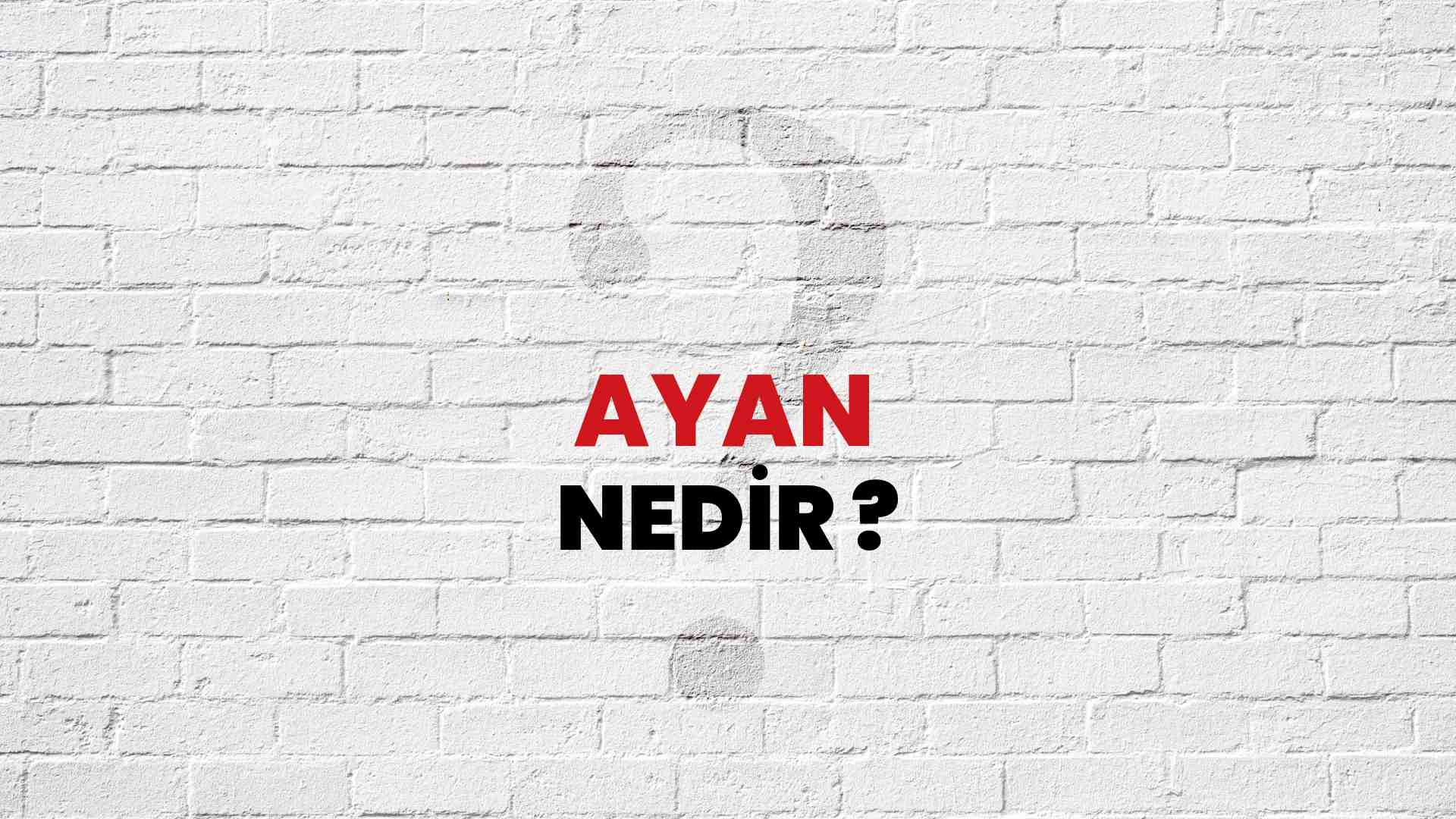 ayan nedir osmanlı