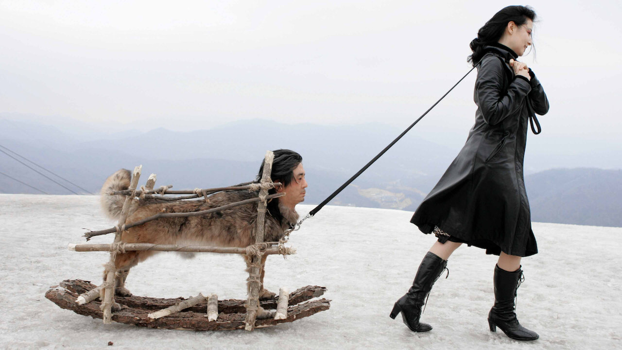 lady vengeance streaming