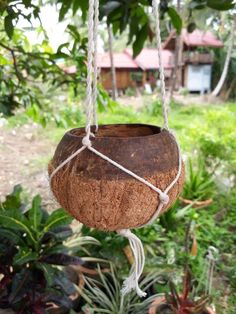 coconut tree decoration ideas