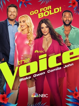 the voice us jury