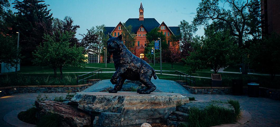 montana state university cat scholarships