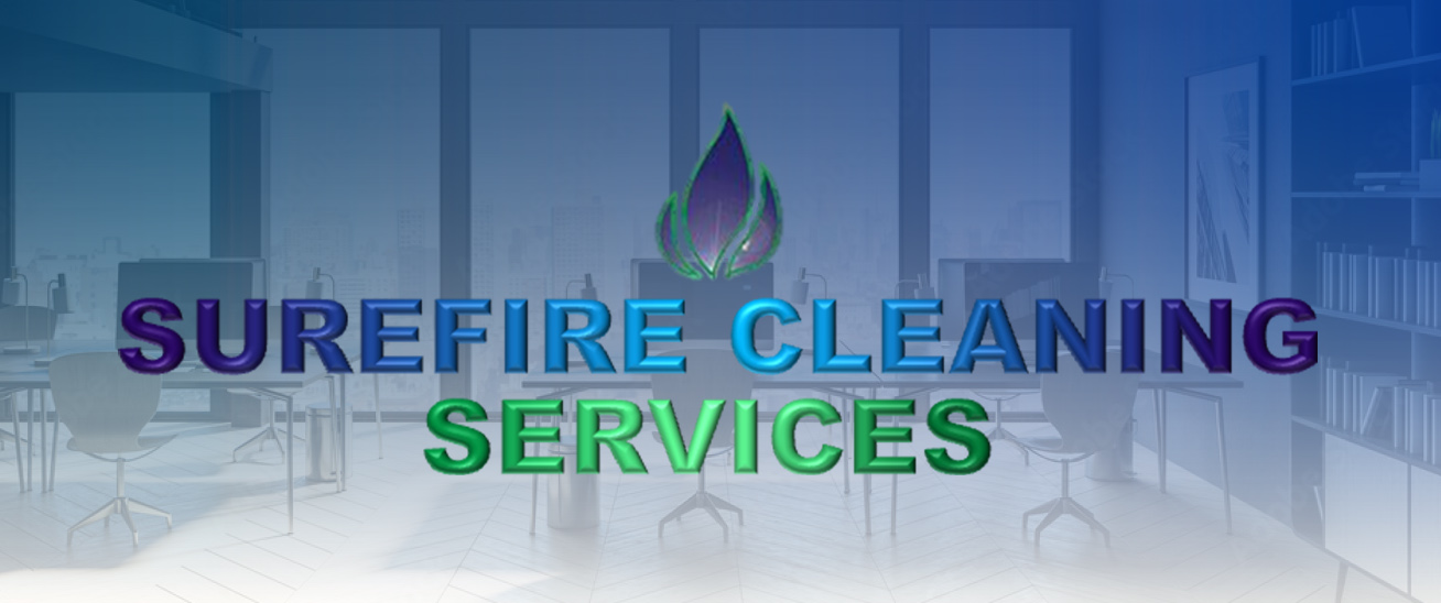 cleaning services business for sale