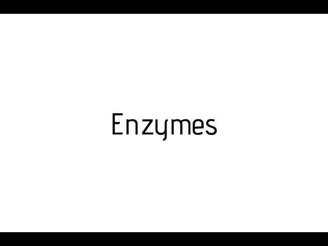 enzyme pronunciation