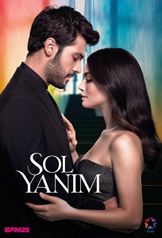 sol yanim total episodes