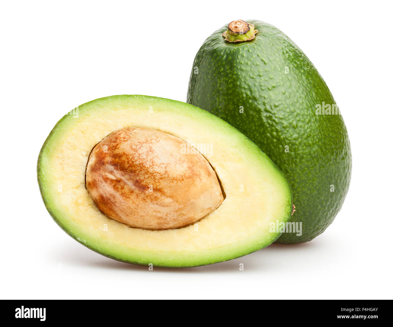 avocado stock photo