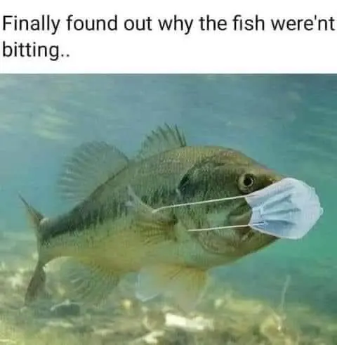 meme fishing