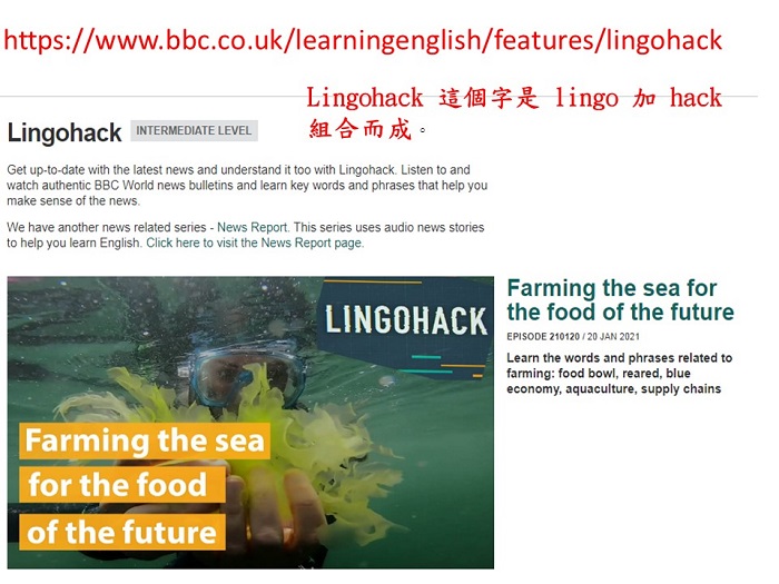 bbc lingohack