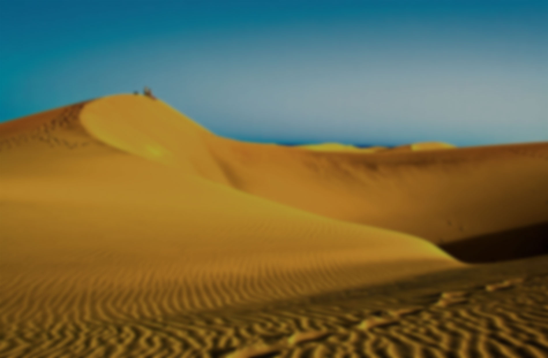 maspalomas february weather