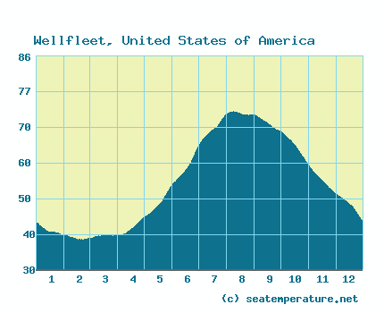 wellfleet ma water temperature