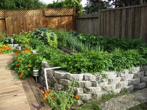 raised garden with retaining wall blocks