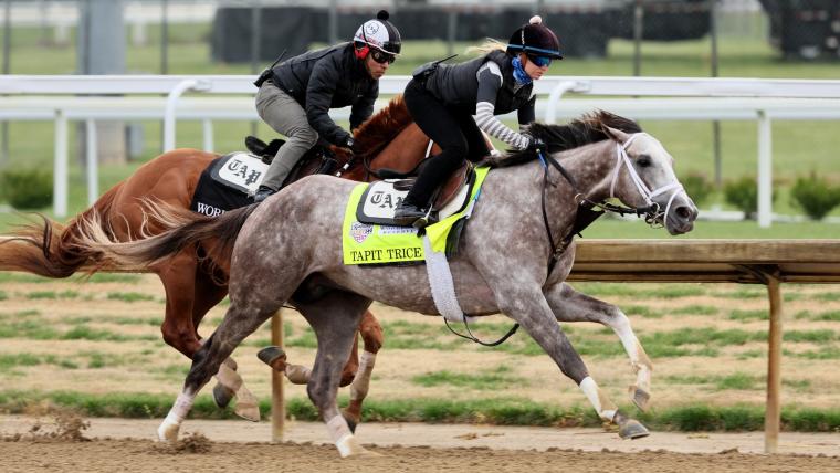 canadian horses in kentucky derby 2023