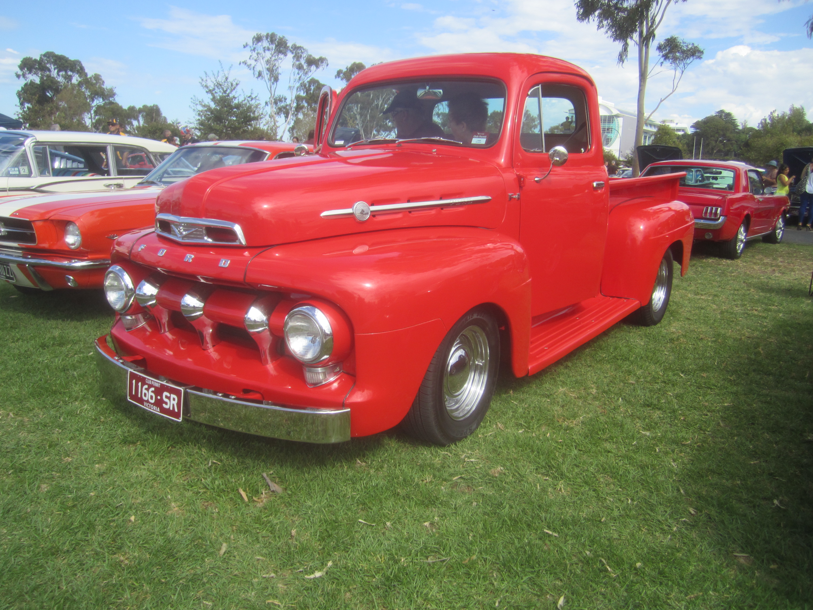 ford 52 pick up